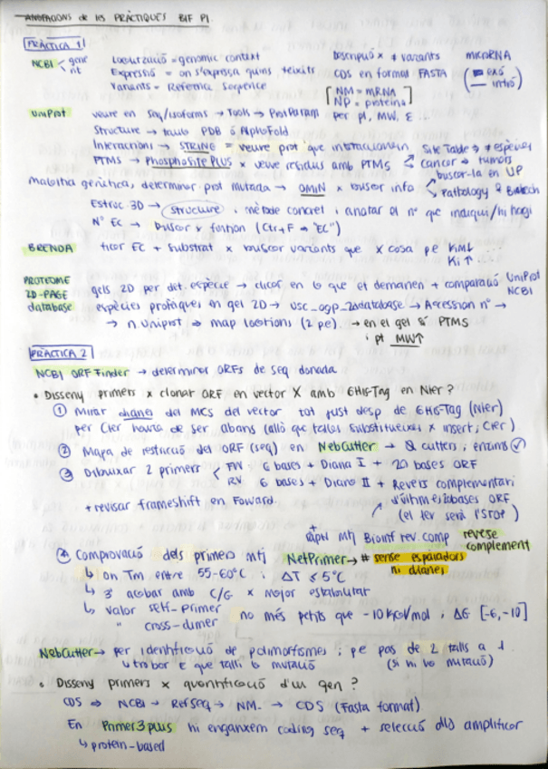 Miniatura del documento BIFresumP1.pdf