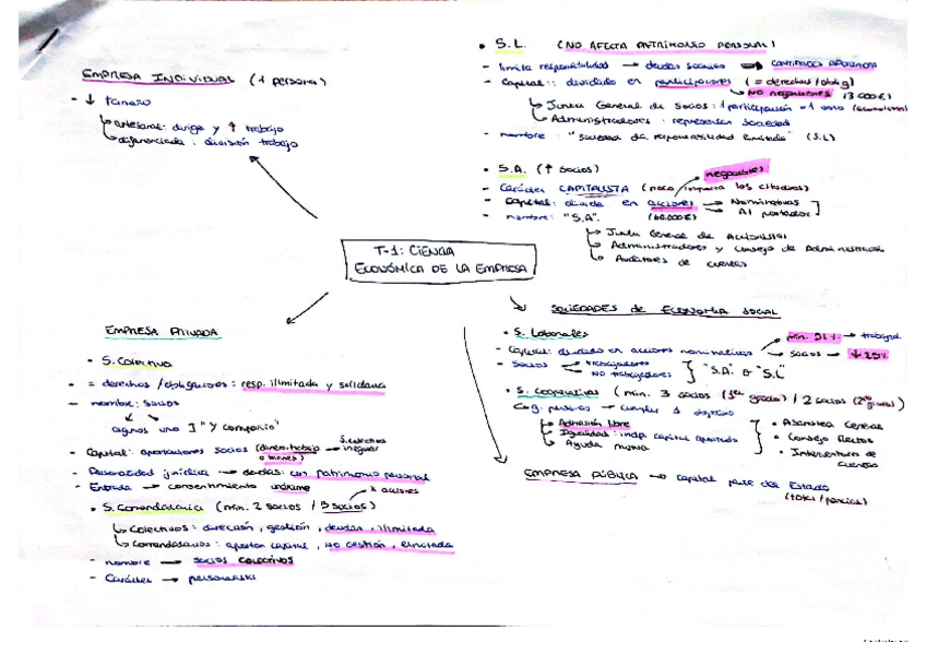 Miniatura del documento ESQUEMAS-TEMAS-ECONOMIA.pdf