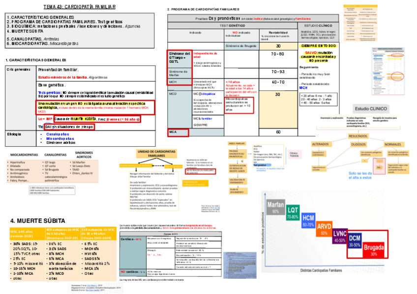Miniatura del documento 43.-Cardiopatias-Familiares.pdf