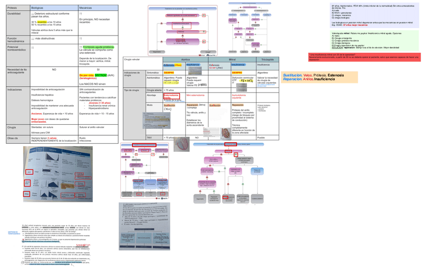 Miniatura del documento Cirugia-De-Las-Valvulopatias.pdf