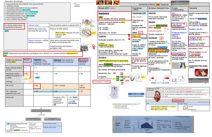 Miniatura del documento Valvulopatias.pdf