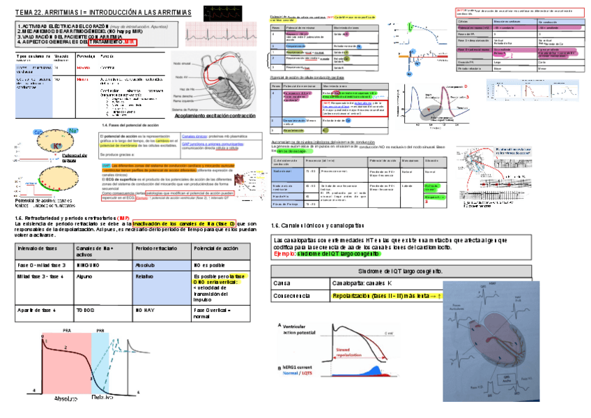 Miniatura del documento 22-y-23-Arritmias-1.pdf