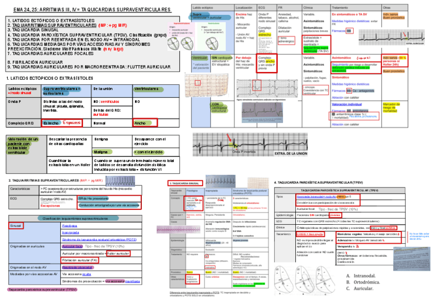 Miniatura del documento 24-y-25.-Arritmias-2.pdf