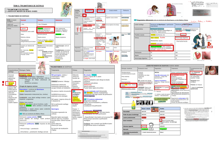 Miniatura del documento 6.-Traumatismos-Esofago.pdf