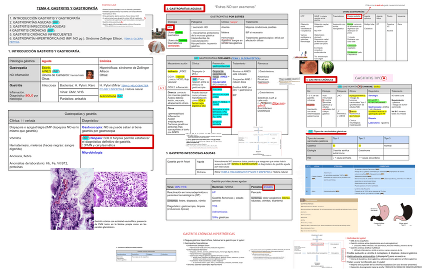 Miniatura del documento 4.-Gastritis-y-Gastropatia.pdf
