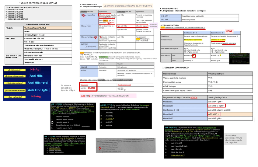 Miniatura del documento 28.-Hepatitis-Virales-Agudas.pdf