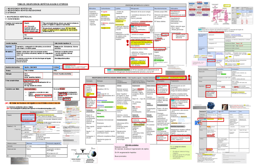 Miniatura del documento 29.-Insuficiencia-Hepatica-Aguda-e-Ictericia.pdf