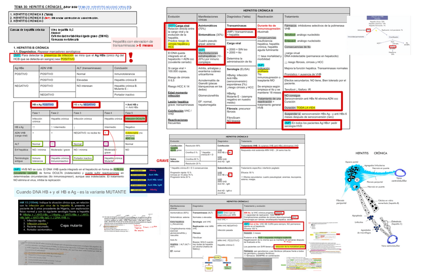 Miniatura del documento 30.-Hepatitis-Cronica.pdf