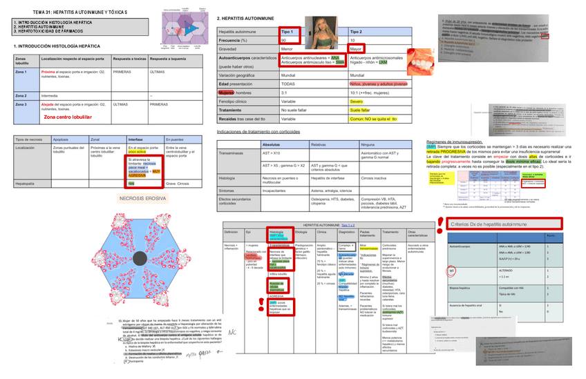 Miniatura del documento 31.-Hepatitis-Autoinmune-Y-Toxica.pdf