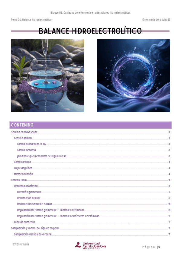 Miniatura del documento Resumen.-Balance-hidroelectrolitico.pdf