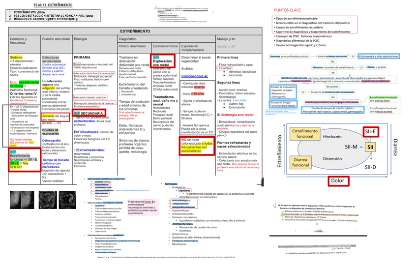 Miniatura del documento 13.-Estrenimiento.pdf