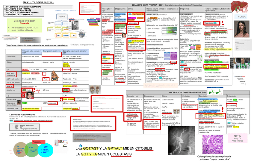 Miniatura del documento 35.-Colestasis.-CBP-y-CEP.pdf