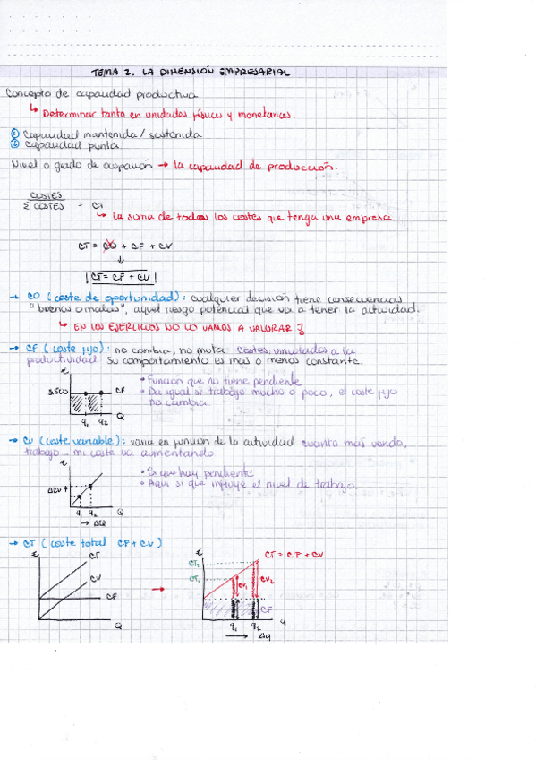 Miniatura del documento Organizacion-de-empresas-tema-2.pdf