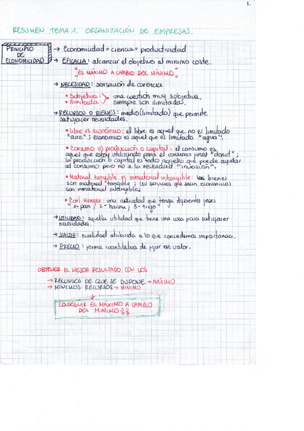 Miniatura del documento Organizacion-de-empresas-tema-1.pdf