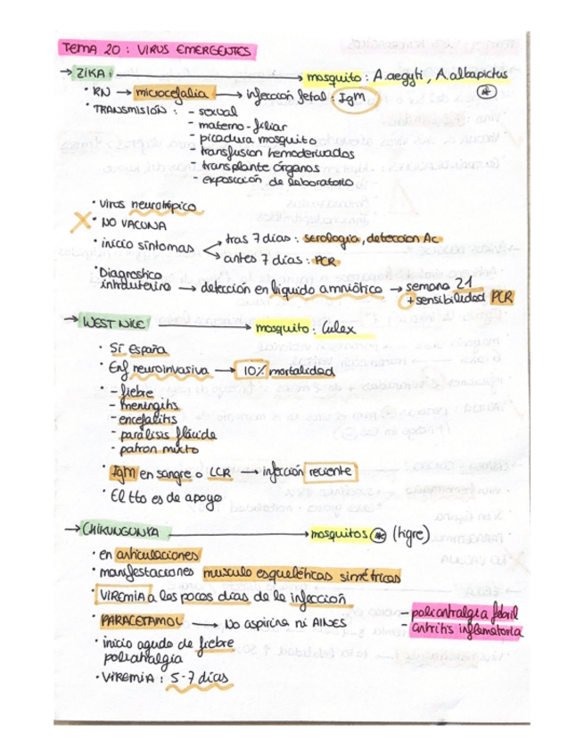 Miniatura del documento cosas-claves-parasitos.pdf