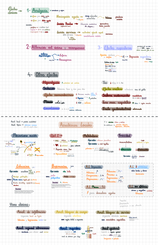 Miniatura del documento Farmacología (7ᵃ parte).pdf
