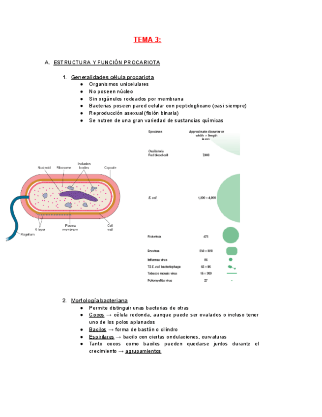 Miniatura del documento MICRO-TEMA-3.pdf