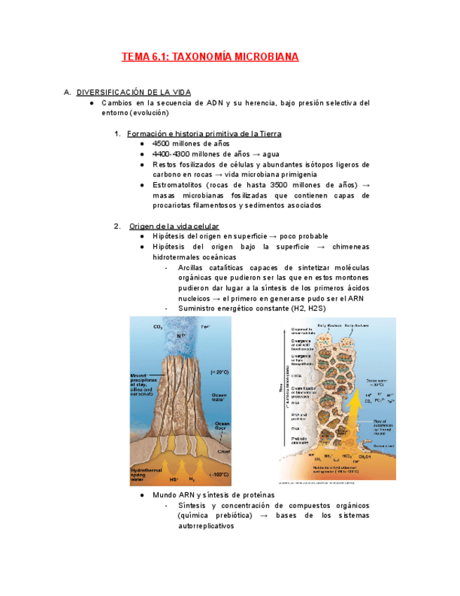Miniatura del documento MICRO-TEMA-6.1.pdf