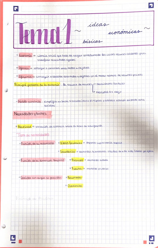 Miniatura del documento Tema-1-Ideas-Economicas-Basicas.pdf