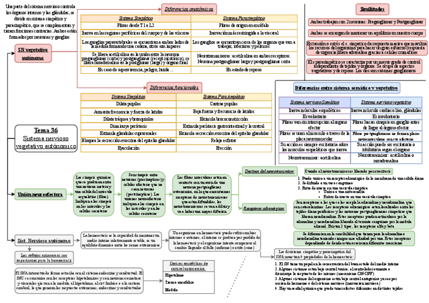 Miniatura del documento Tema-36-esquema.pdf