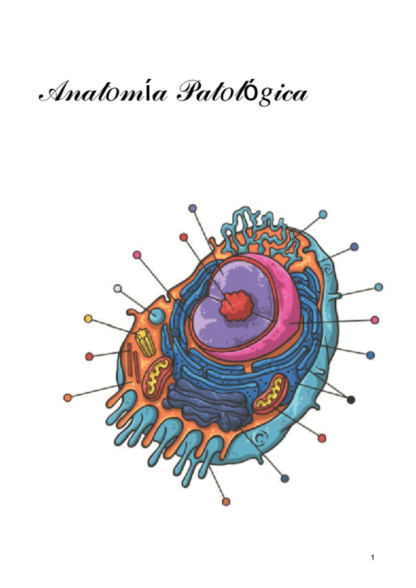 Miniatura del documento Anatomia-patologica-desarrollo.pdf