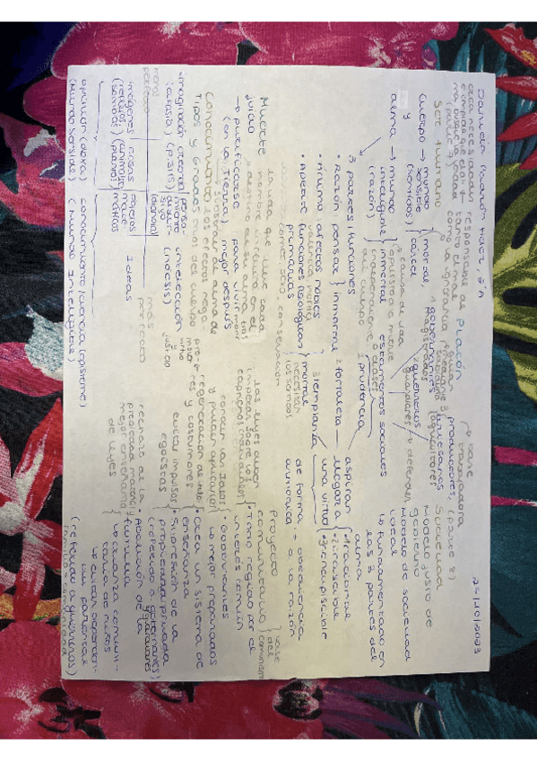 Miniatura del documento esquema Platón.pdf