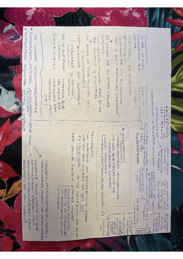 Miniatura del documento esquema Aristóteles.pdf