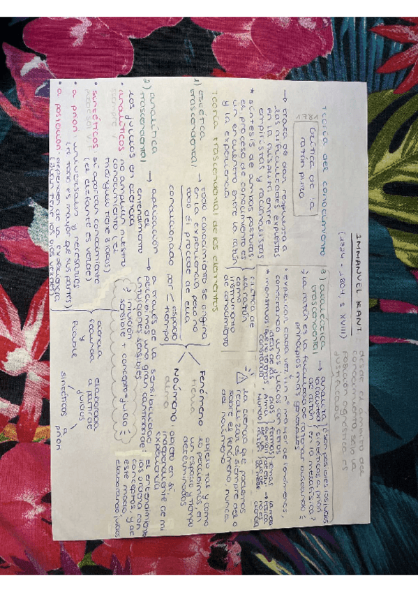 Miniatura del documento esquema Kant.pdf