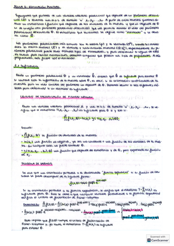 Miniatura del documento TEMA-2-y-3-Teoria-y-practicas.pdf