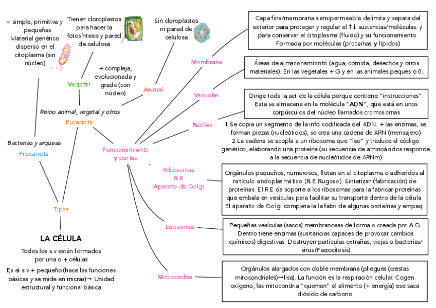 Miniatura del documento Esquema-naturales.pdf