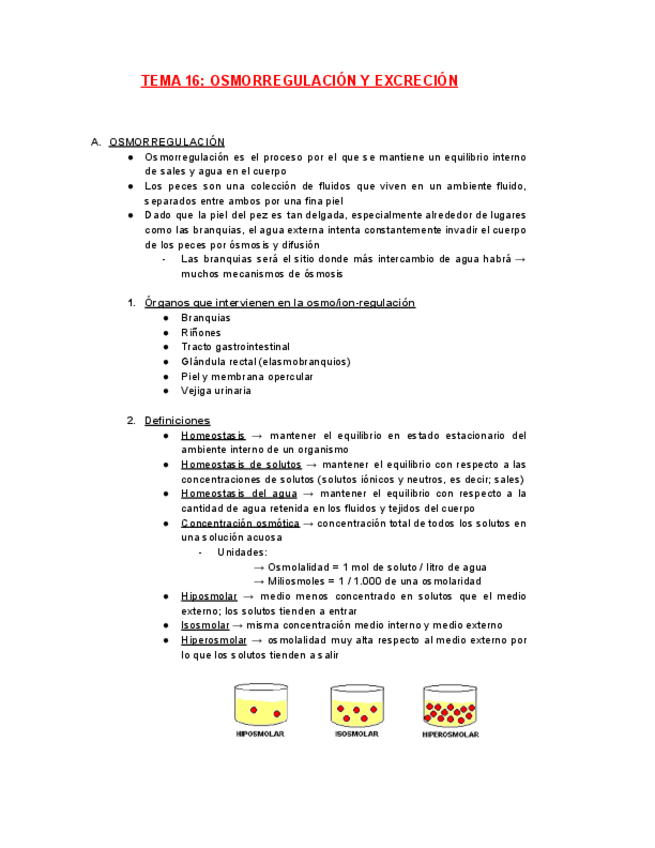 Miniatura del documento FISIOLOGIA-TEMA-16.pdf