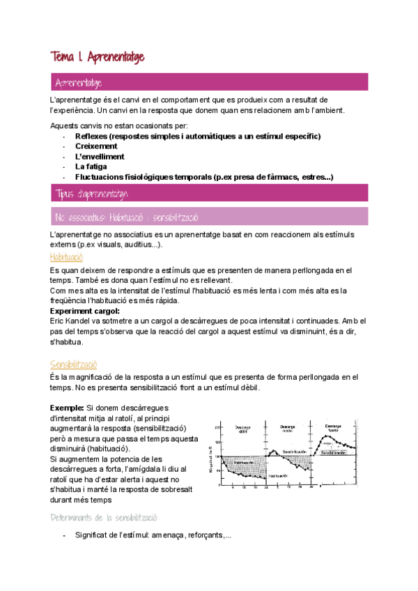Miniatura del documento Tema-1.-Aprenentatge.pdf