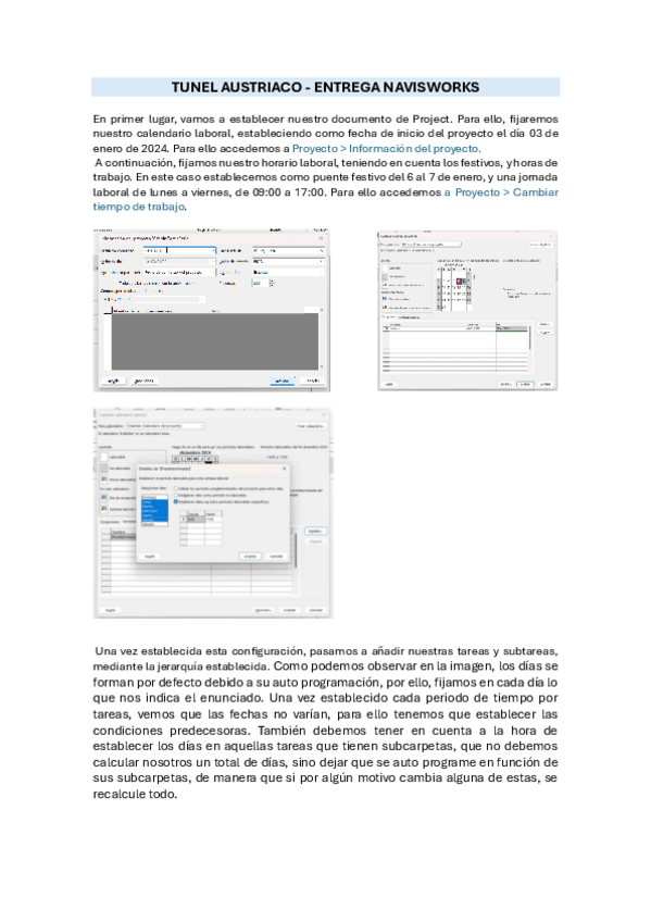 Miniatura del documento scgexpliacion-proyecto.pdf