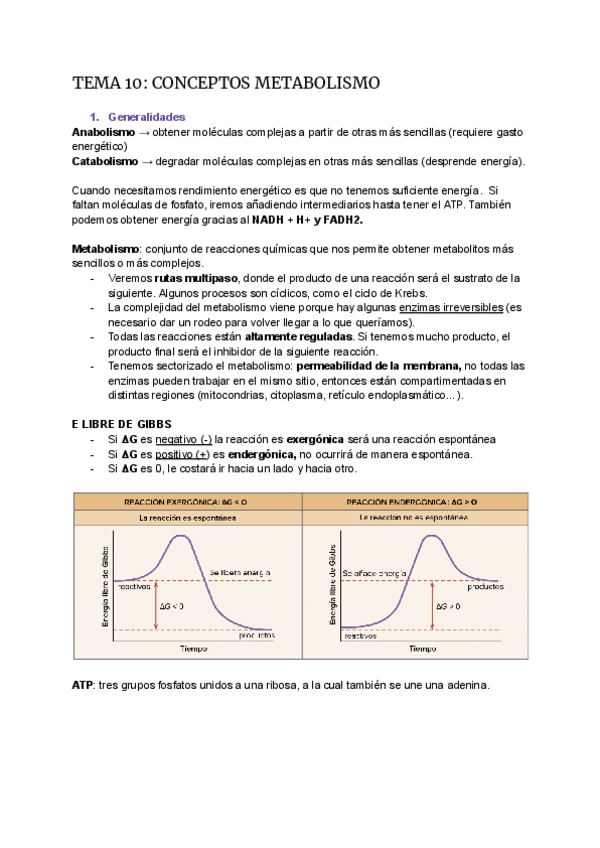 Miniatura del documento METABOLISMO-BIOQUIMICA.pdf