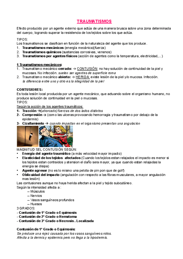 Miniatura del documento Apuntes-traumatologia-especiales.pdf