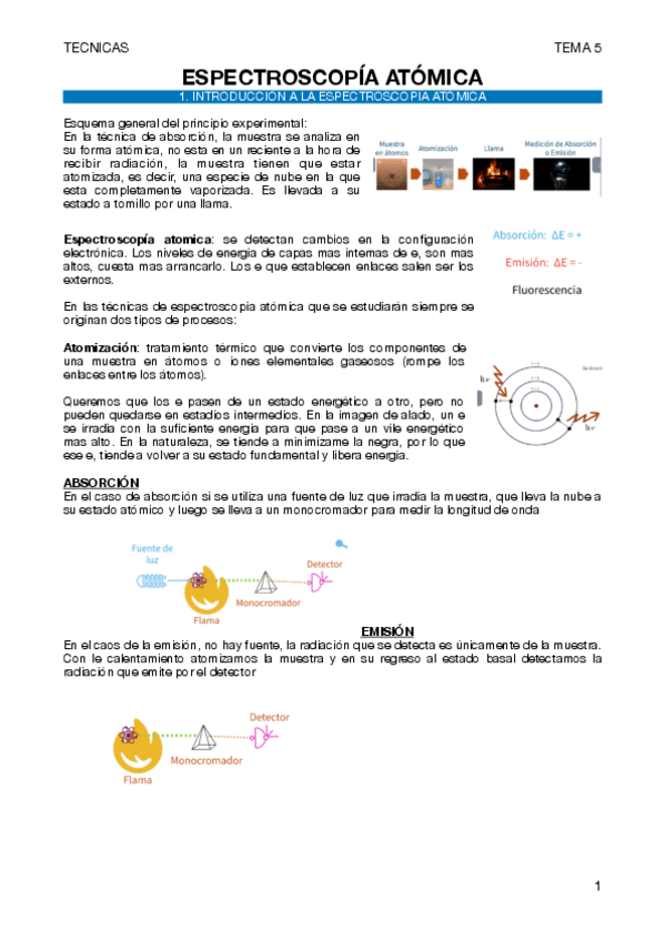 Miniatura del documento tecnicas-instrumentales-tema-5.pdf