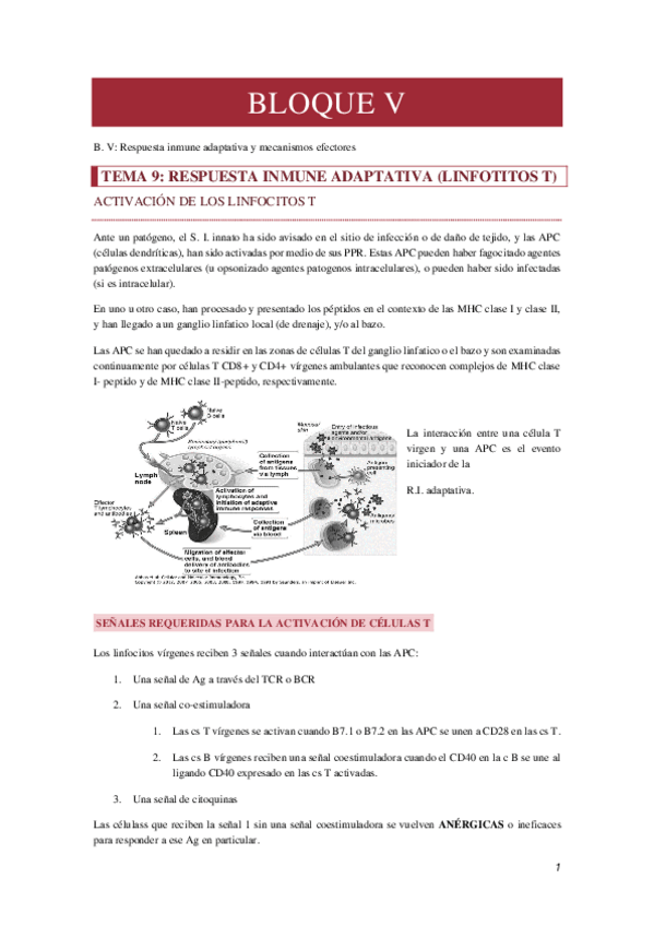 Miniatura del documento TEMA-9.pdf