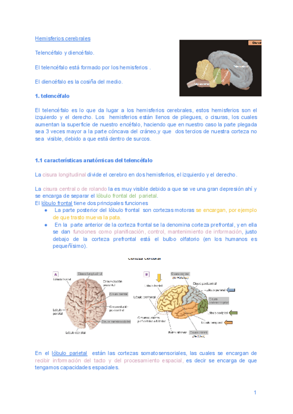 Miniatura del documento Bases-T.9.pdf