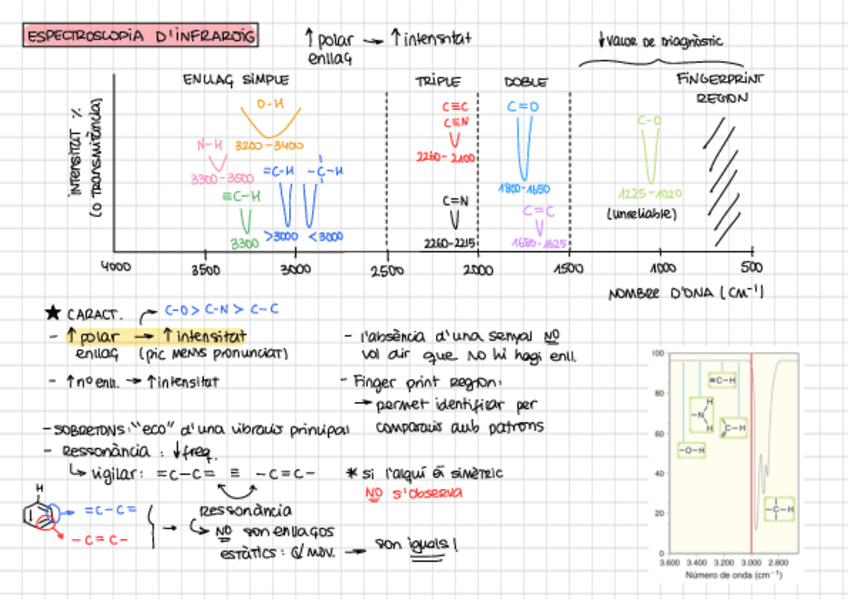 Miniatura del documento RESUM-EXPE.pdf