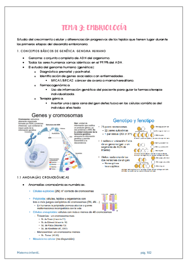 Miniatura del documento APUNTES-MATERNO-INFANTIL-TEMA-9.pdf