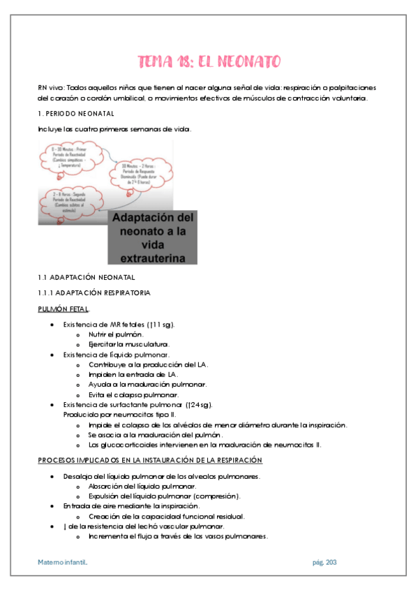 Miniatura del documento APUNTES-MATERNO-INFANTIL-TEMA-18.pdf