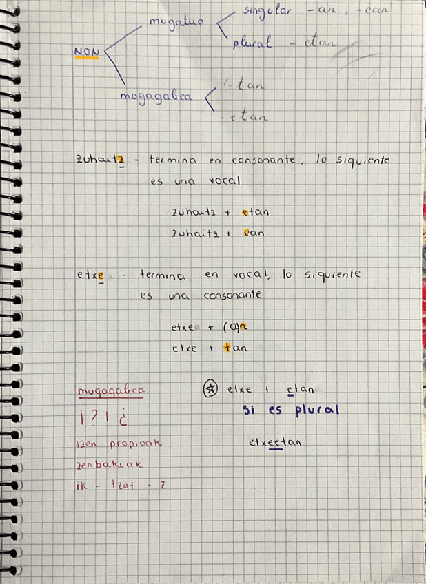 Miniatura del documento NON.jpeg