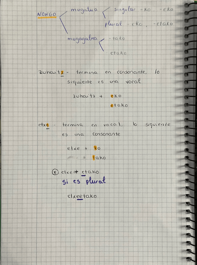 Miniatura del documento NONGO.jpeg