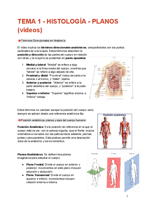 Miniatura del documento TEMA-1-HISTOLOGIA-PLANOS.pdf