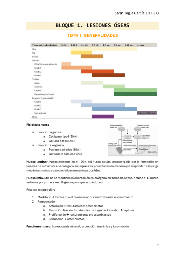Miniatura del documento Bloque-1-T1-Generalidades-oseas.pdf