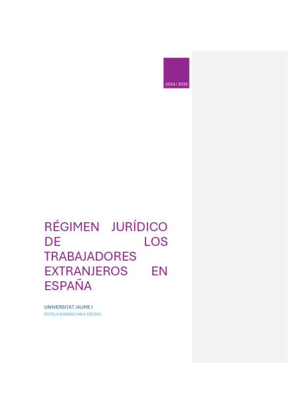 Miniatura del documento Regimen-juridico-de-los-trabaajdores-extranjeros-en-Espana.pdf