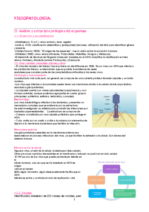 Miniatura del documento fisiopatologia-pdf.pdf