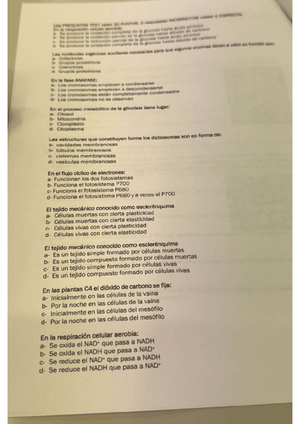Miniatura del documento Examen-Recu-PP1.pdf