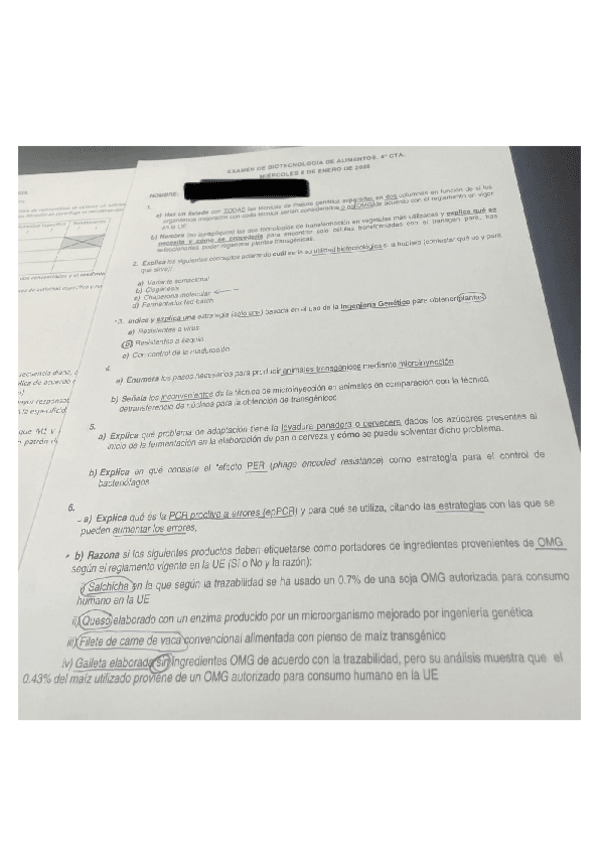 Miniatura del documento TEORIA.pdf