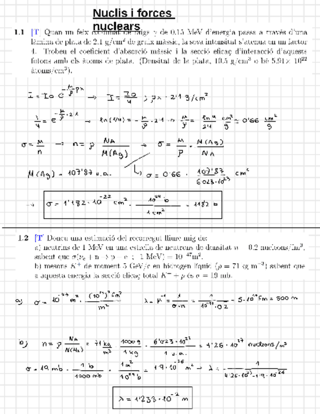 Miniatura del documento Nuclis-i-forces-nuclears.pdf